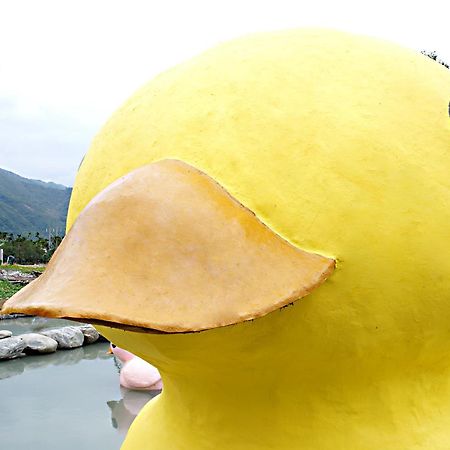 Bed and Breakfast 依比鴨鴨水岸會館 Ducking House Ruisui Exterior foto