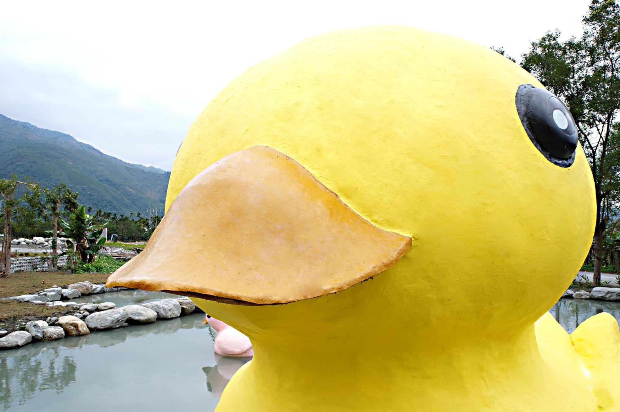 Bed and Breakfast 依比鴨鴨水岸會館 Ducking House Ruisui Exterior foto